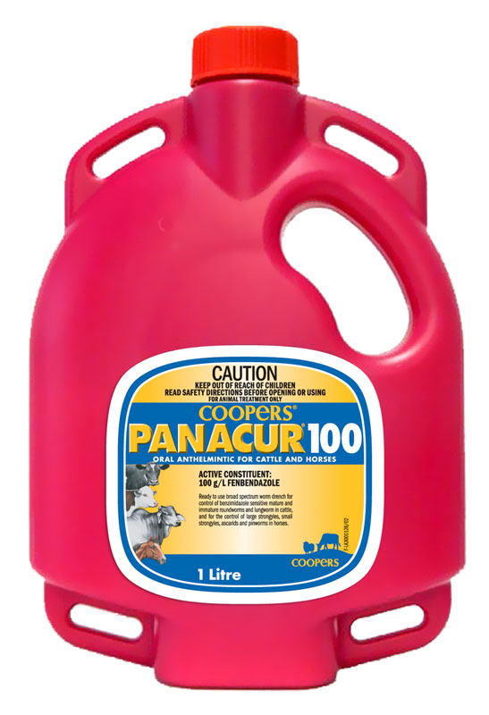 Panacur heartworm 2024